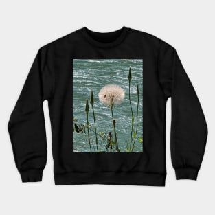 Delicate seeds Crewneck Sweatshirt